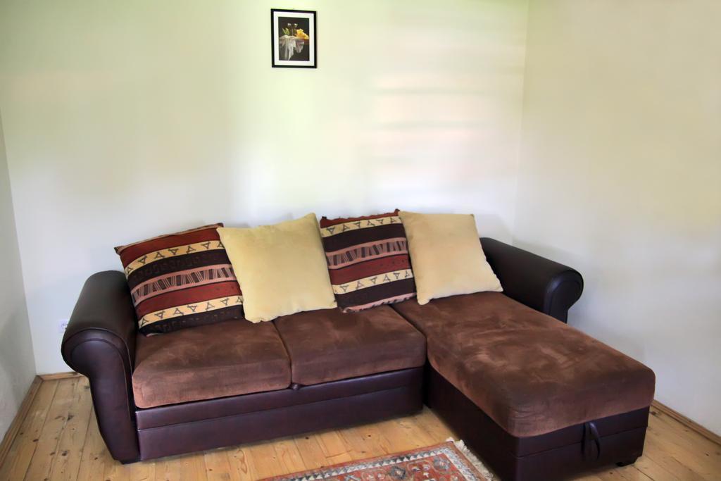 Pensiunea La Bradul Inalt Porumbacu de Sus Room photo